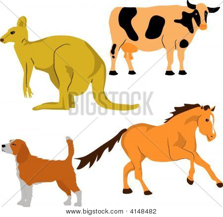 Farm Animals Pictures For Kids