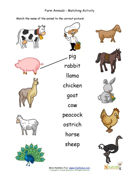 Farm Animals Pictures For Kids