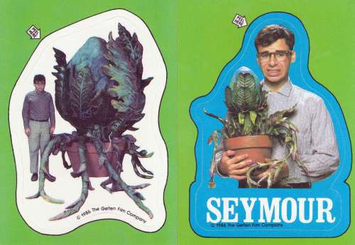 Feed Me Seymour Quote