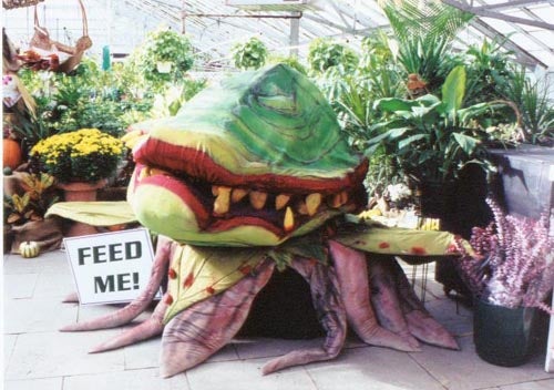 Feed Me Seymour Quote