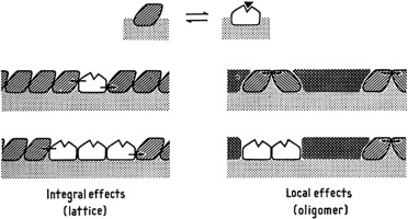 Feedback Inhibition Definition Biology