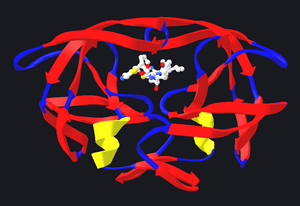 Feedback Inhibition Enzyme Example