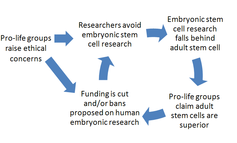 Feedback Loop Diagram Insulin