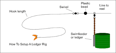 Feeder Fishing Rig Setup