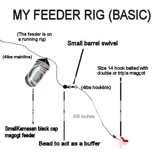 Feeder Fishing Rigs For Bream