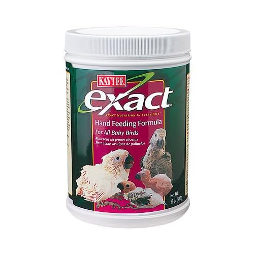 Feeding Baby Birds Formula