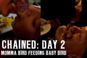 Feeding Baby Birds Nz