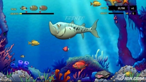 Feeding Frenzy Free Download Mac