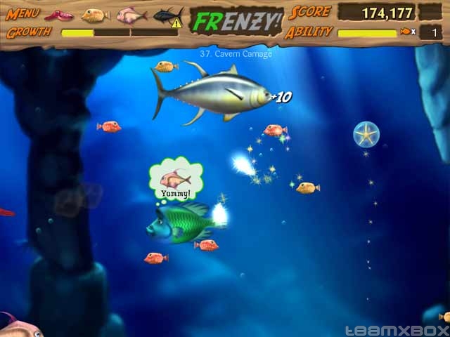 Feeding Frenzy Game Download Full Version