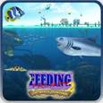 Feeding Frenzy Game Free Online No Download