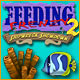 Feeding Frenzy Online Free No Download Play