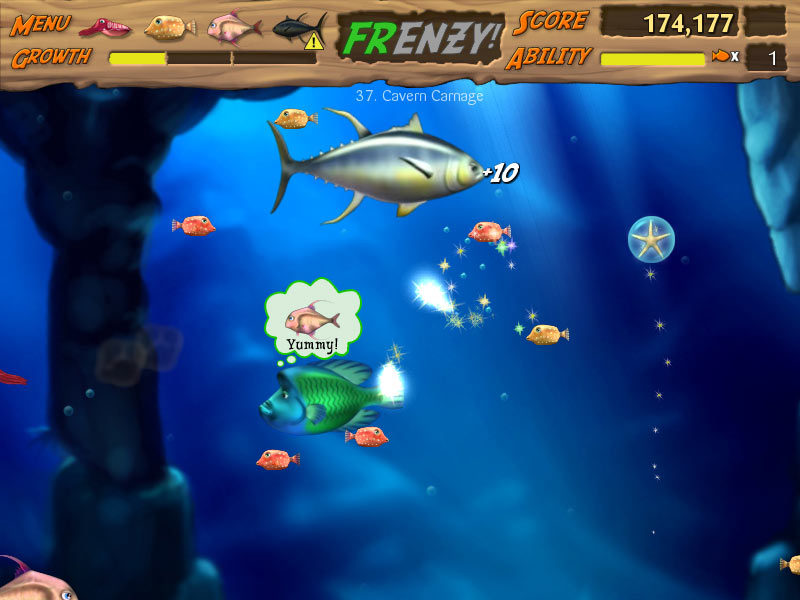 Feeding Frenzy Online Play Without Downloading