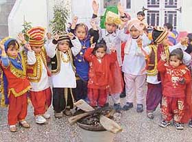 Festivals Of Punjab Lohri