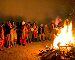 Festivals Of Punjab Lohri