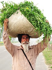 Festivals Of Punjab Wikipedia