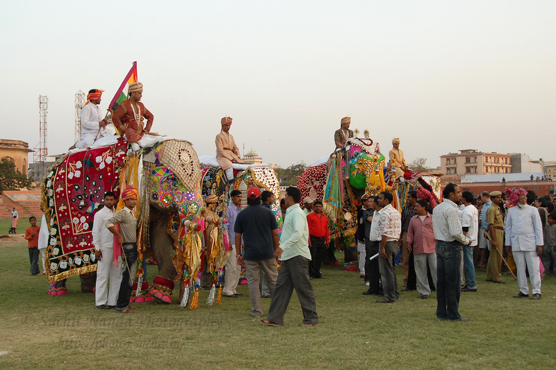 Festivals Of Rajasthan In Hindi