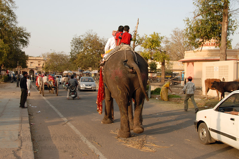 Festivals Of Rajasthan In Hindi