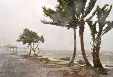 Fiji Cyclone