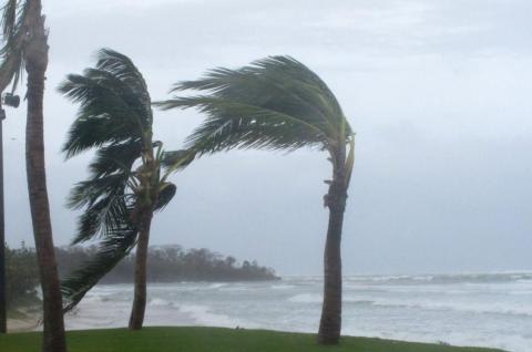 Fiji Cyclone Damage Update