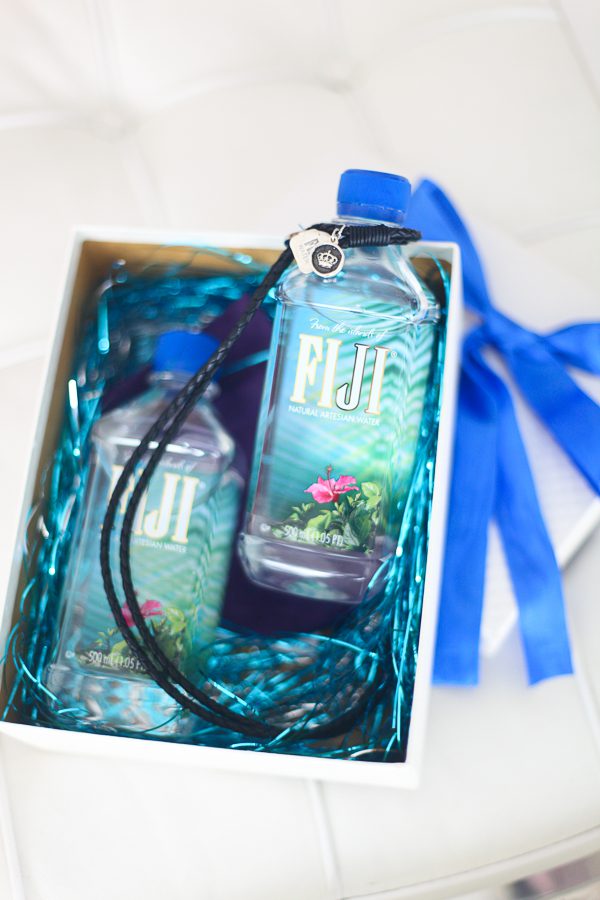 Fiji Water Bottle Design