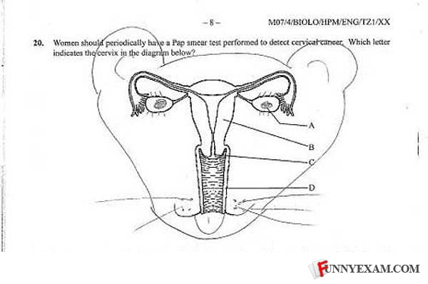 Final Exams Funny