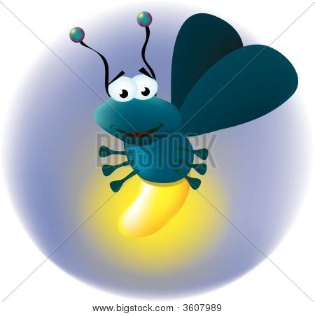 Firefly Insect Cartoon