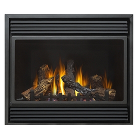 Fireplace Inserts Gas Lowes