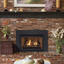 Fireplace Inserts Wood Cost