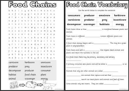 Five Food Groups For Kids Worksheets