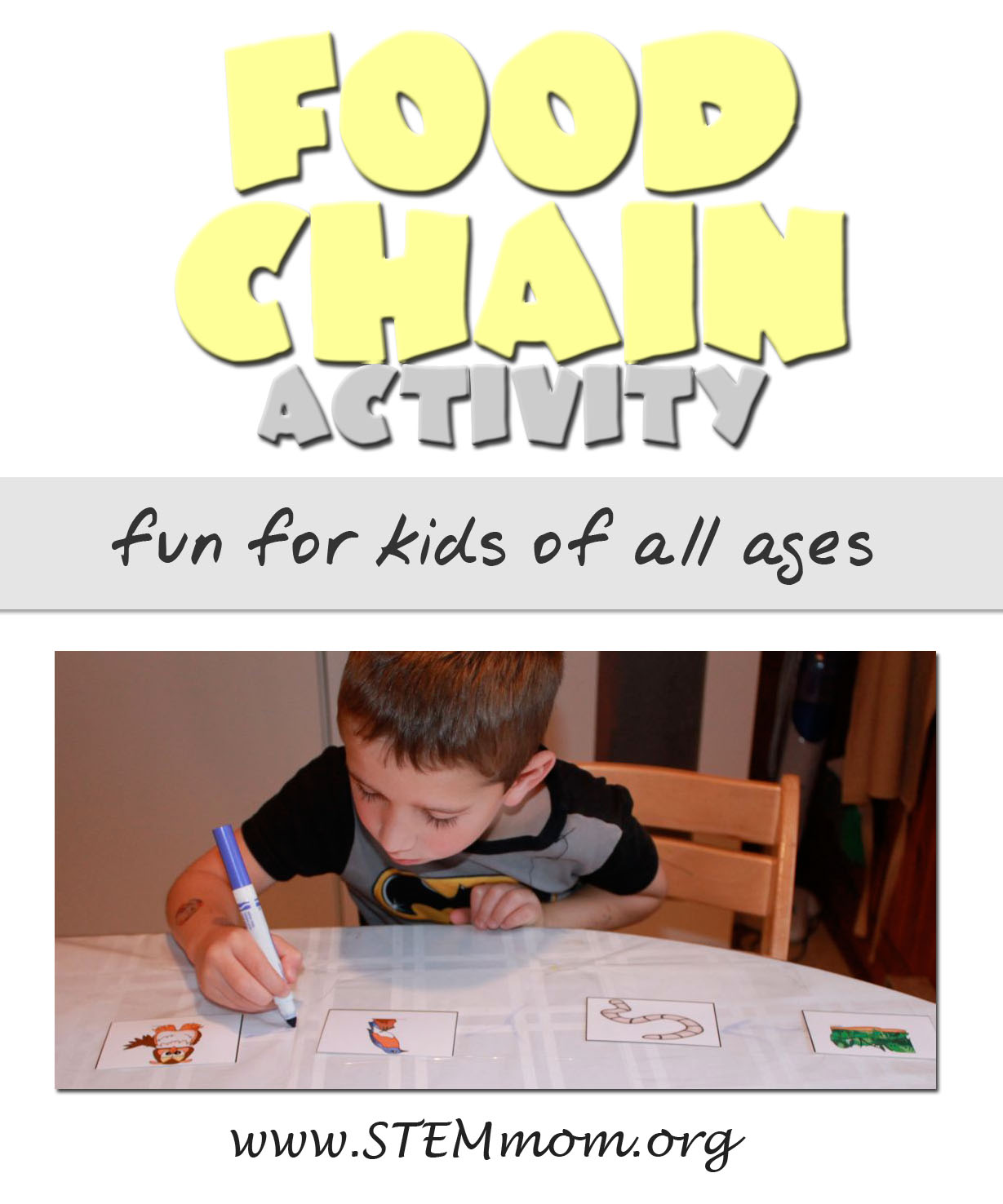 Food Chain And Food Web For Kids