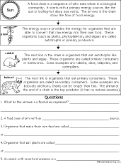 Food Chain And Food Web Worksheets Answers