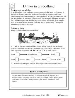 Food Chain And Food Web Worksheets High School