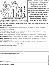 Food Groups Worksheets For Kindergarten