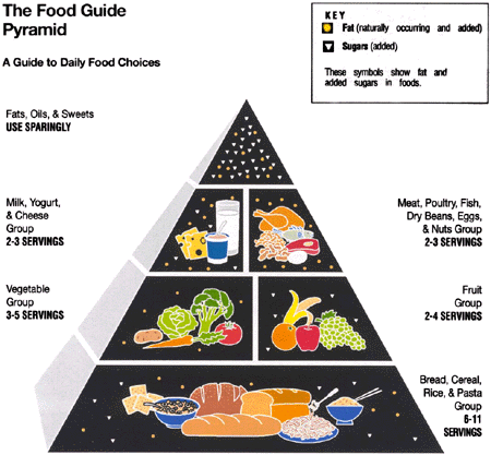 Food Pyramid For Kids Uk