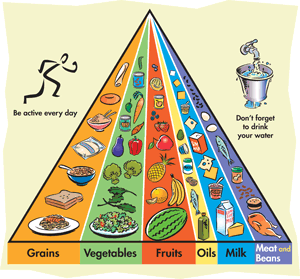 Food Pyramid Guidelines For Kids