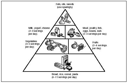 Food Pyramid Guidelines For Kids