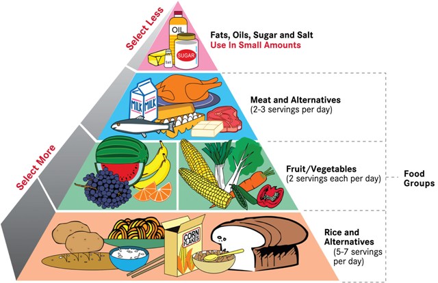 Food Pyramid Servings