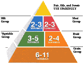 Food Pyramid Servings