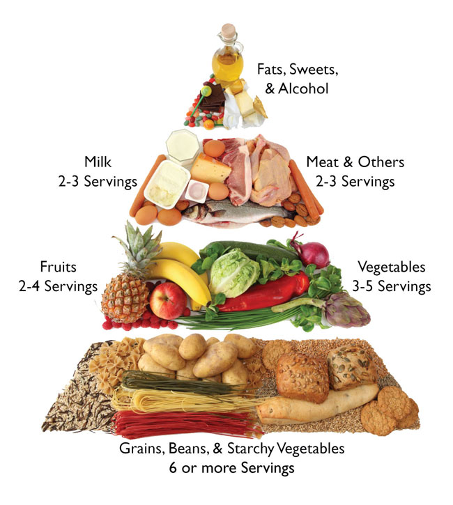 Food Pyramid Servings