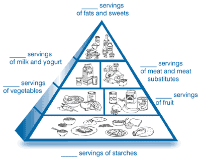 Food Pyramid Servings Per Day For Kids