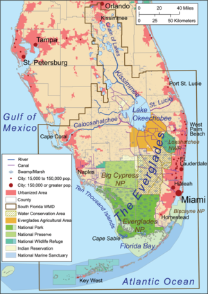 Food Web Activity Everglades