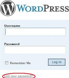 Forgot Password Page In Php