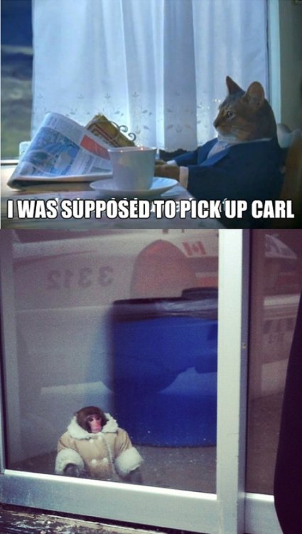 Forgot To Pick Up Carl Meme