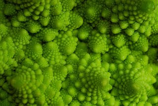 Fractal Patterns In Nature