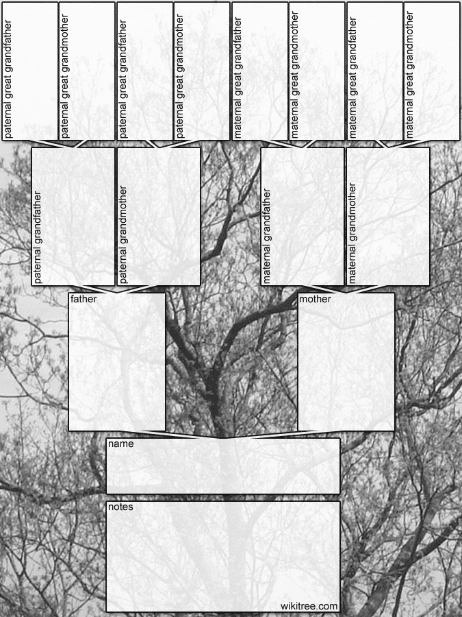 Free Blank Family Tree Template For Kids