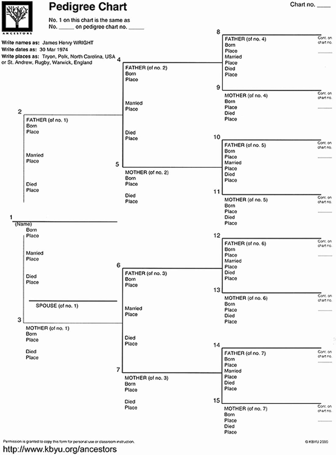 Free Blank Family Tree Template For Kids