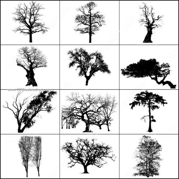 Free Photoshop Brushes Trees