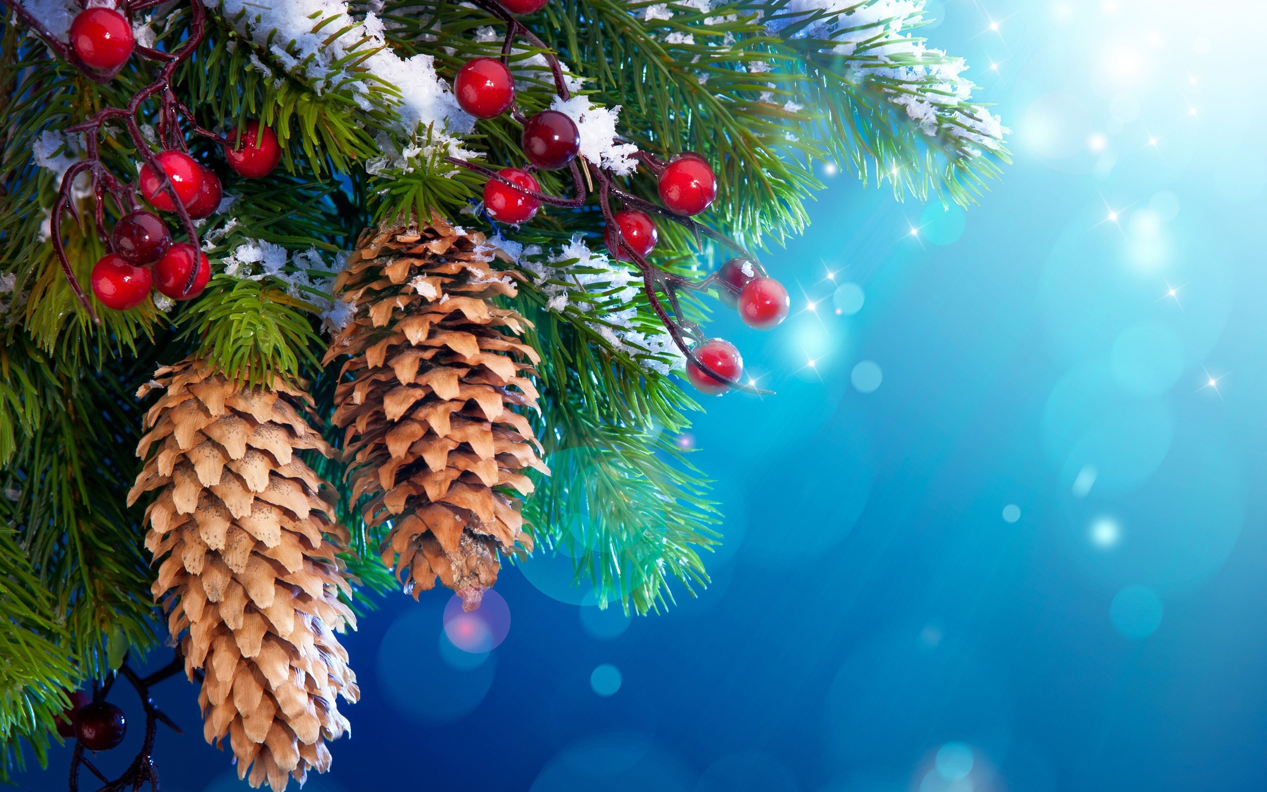 Free Wallpaper Christmas Tree Snow