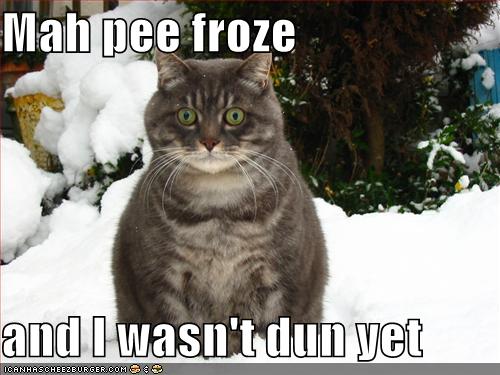 Freezing Cold Funny