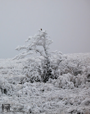 Freezing Fog